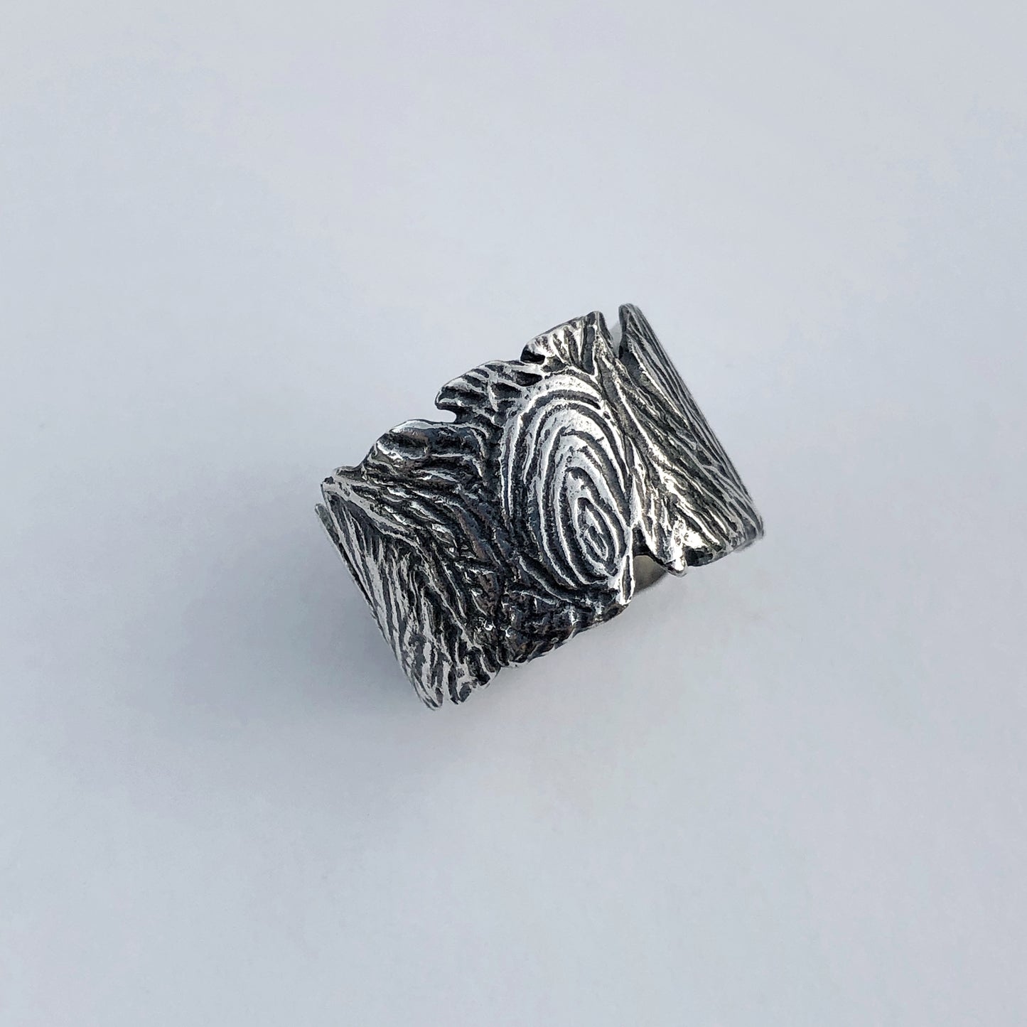 Hollow Tree Ring