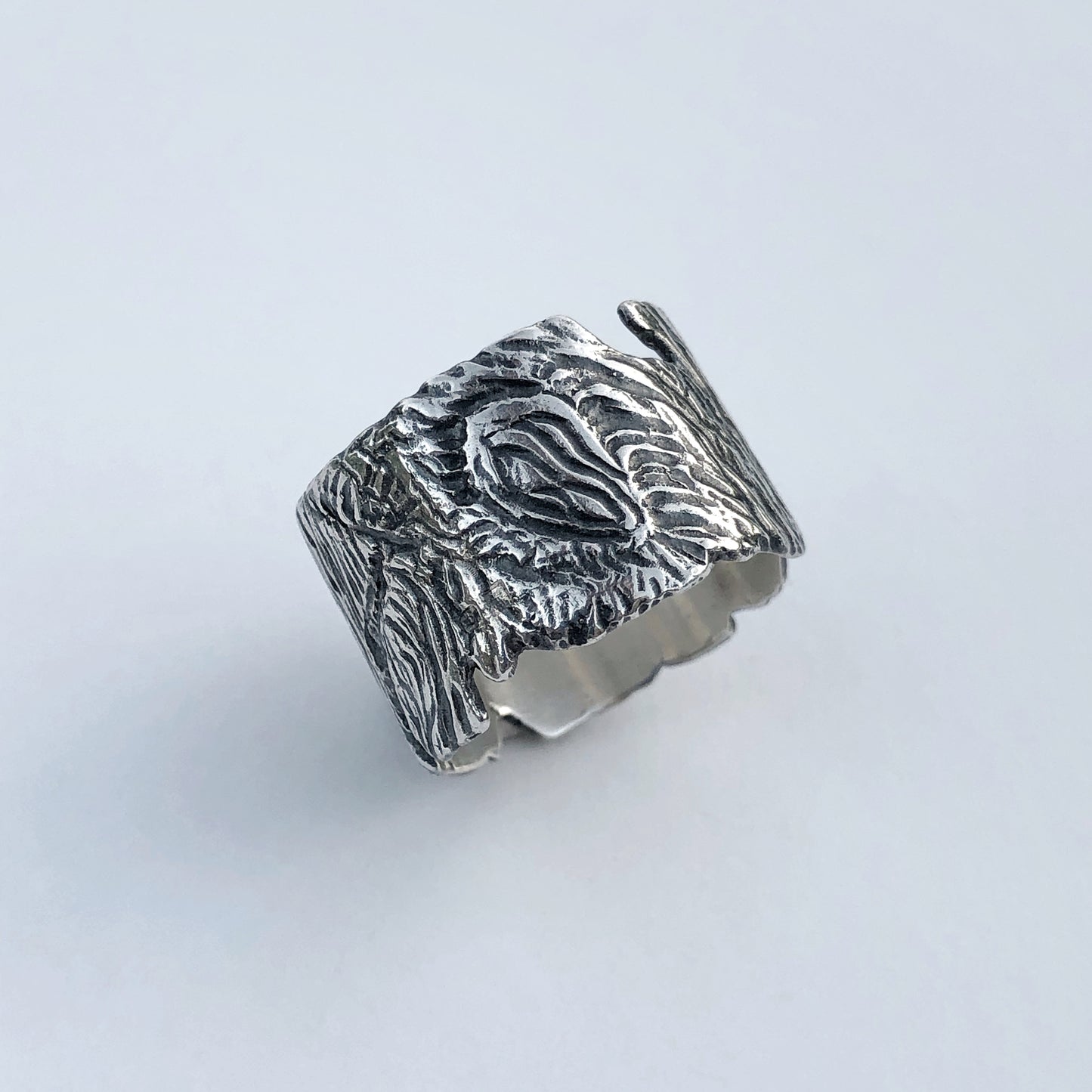 Hollow Tree Ring