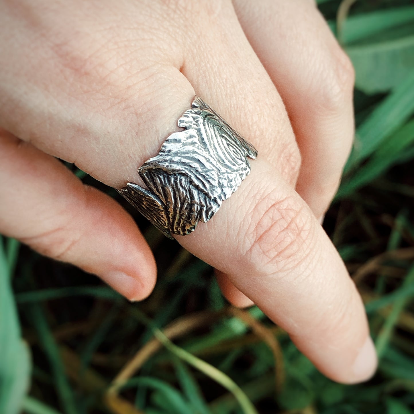 Hollow Tree Ring