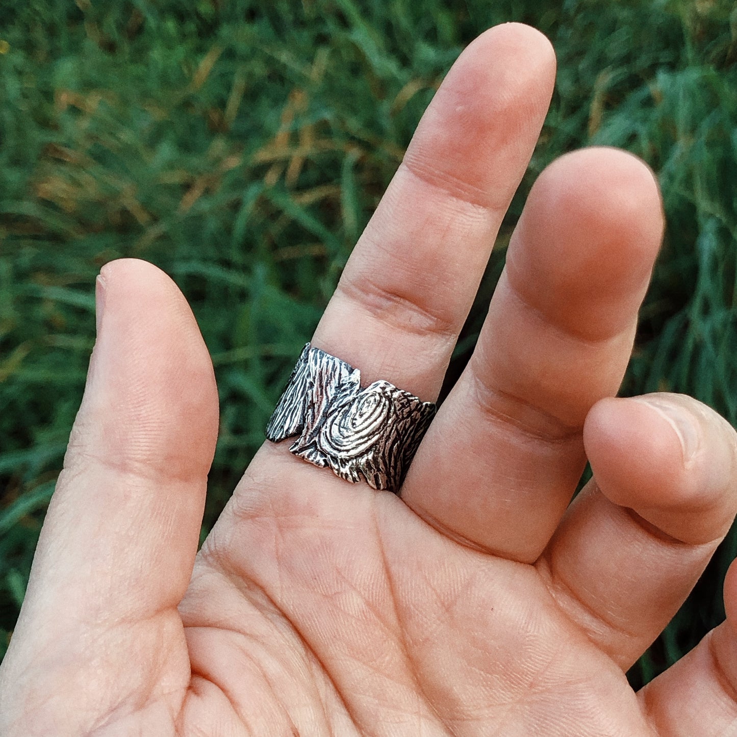 Hollow Tree Ring