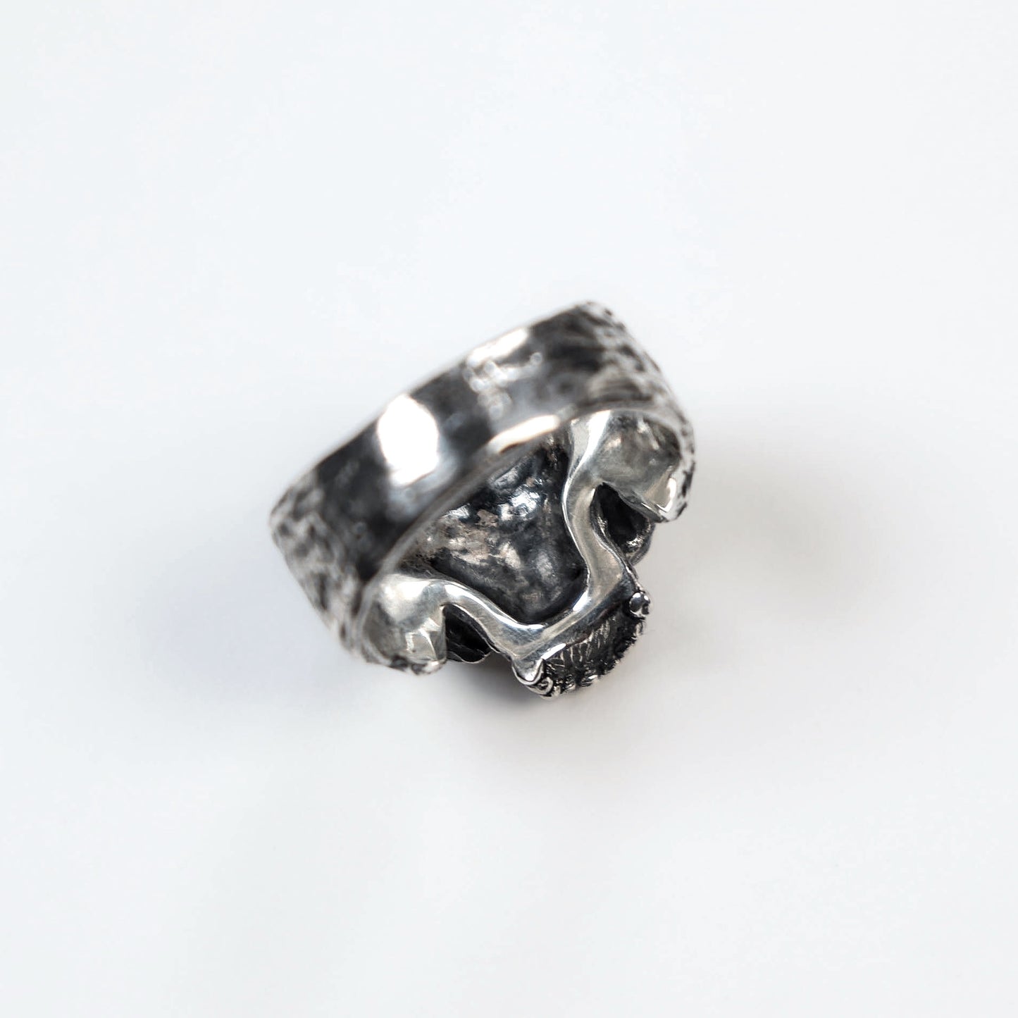 From Dust to Dust Ring