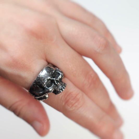 From Dust to Dust Ring