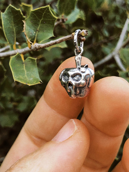 Poisoned Apple Talisman Necklace